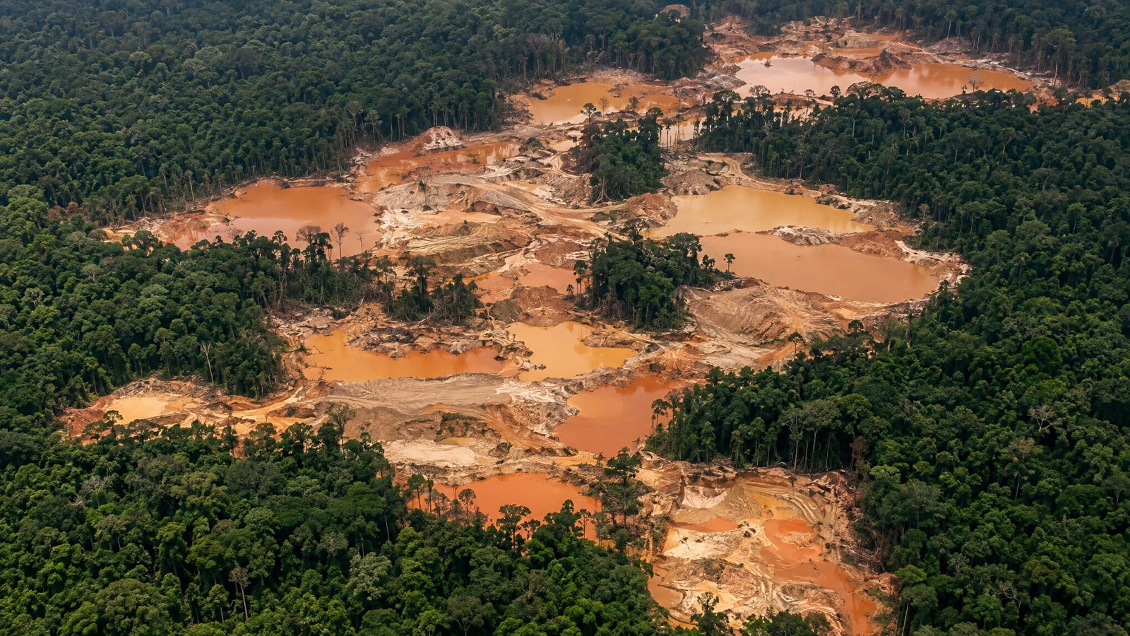 Illegal Mining in the Amazon: Satellite Evidence, Seized Gold and the Mercury Trail